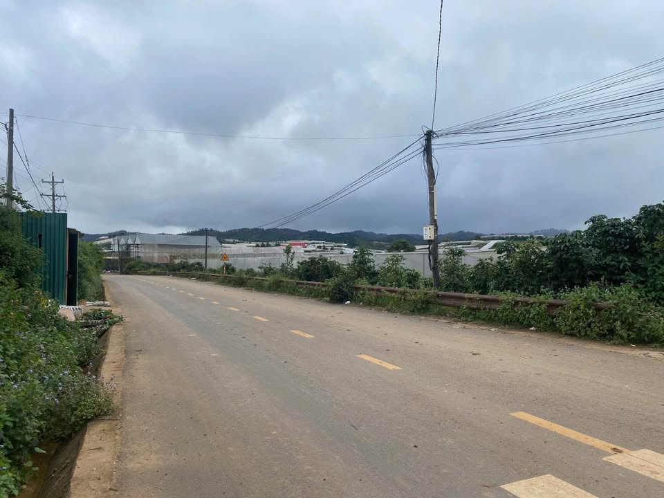 Đất nền đường Văn Tiến Dũng - P. Langbiang, Đà Lạt 1.313m² giá 420 triệu - Sổ riêng chính chủ!