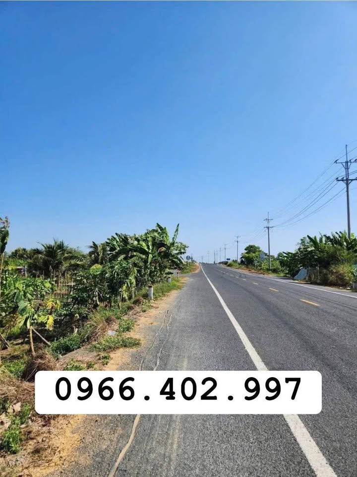 Đất mặt tiền Đường Tỉnh 922, Thới Lai, 643m² - Đầu tư sinh lời ngay!