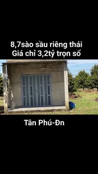 Farm 8.700m² tại Tân Phú, Đồng Nai - Giá chỉ 3,2 tỷ, đầu tư sinh lời!