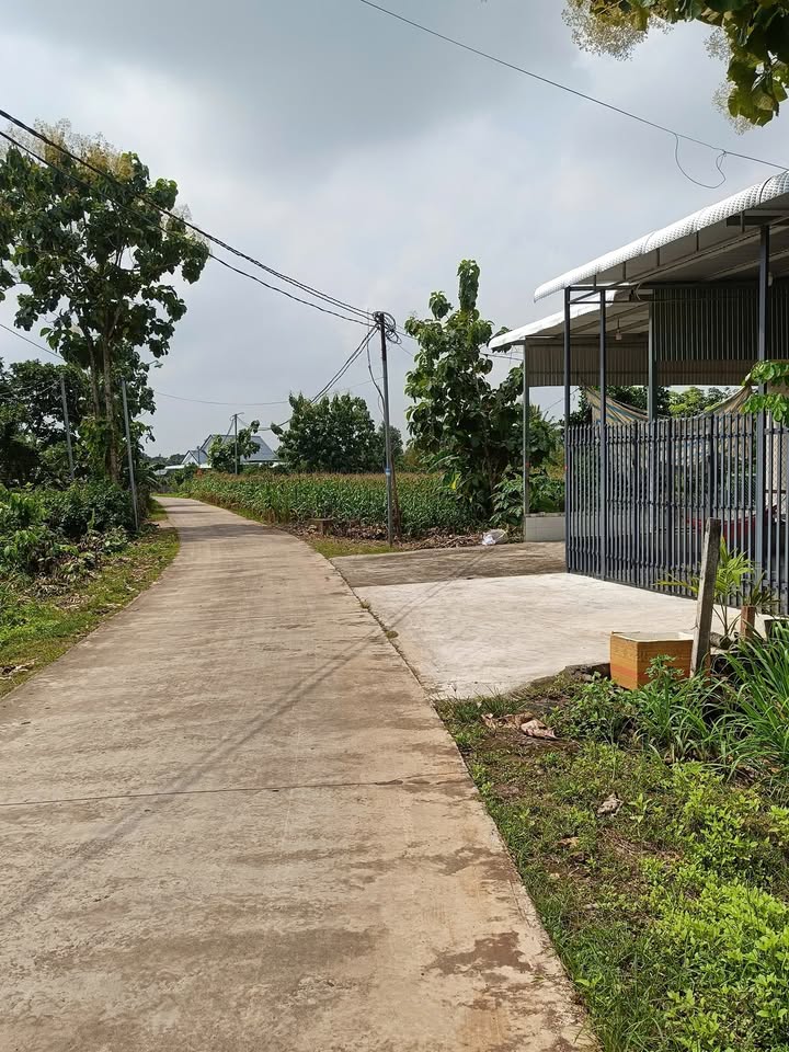 Đất nền 1 sào xã Phú Lợi, Định Quán, Đồng Nai - Sổ hồng riêng, giá chỉ 1.1 tỷ