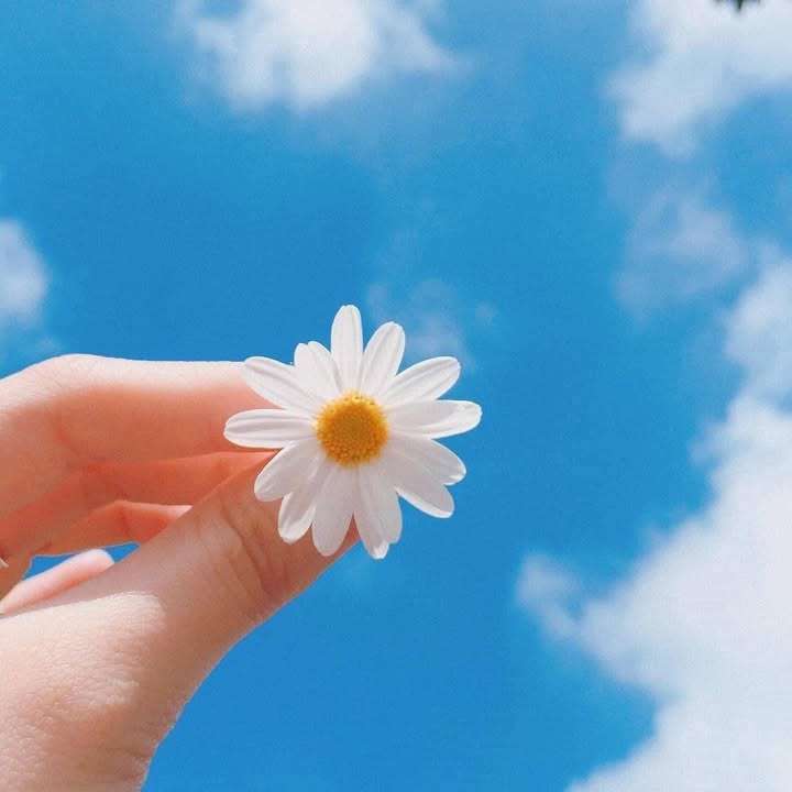 Đất mặt tiền Đường 82, xã Hòa Long, Bà Rịa 174m² giá 2,4 tỷ - Cơ hội đầu tư lý tưởng!