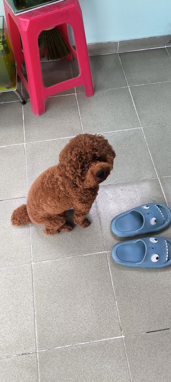 Nhà hẻm 205 Tân Hoá Đông, Quận 6, 8m² giá chỉ 1.2 tỷ - Cơ hội đầu tư tuyệt vời!