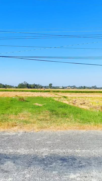 Đất nền 150m² xã Tiên Thuận, Bến Cầu, Tây Ninh - Giá chỉ 465 triệu, pháp lý rõ ràng!