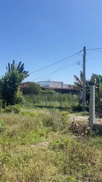 Đất thổ cư An Tịnh Trảng Bàng 263m² giá 950 triệu - Pháp lý rõ ràng, nở hậu đẹp!