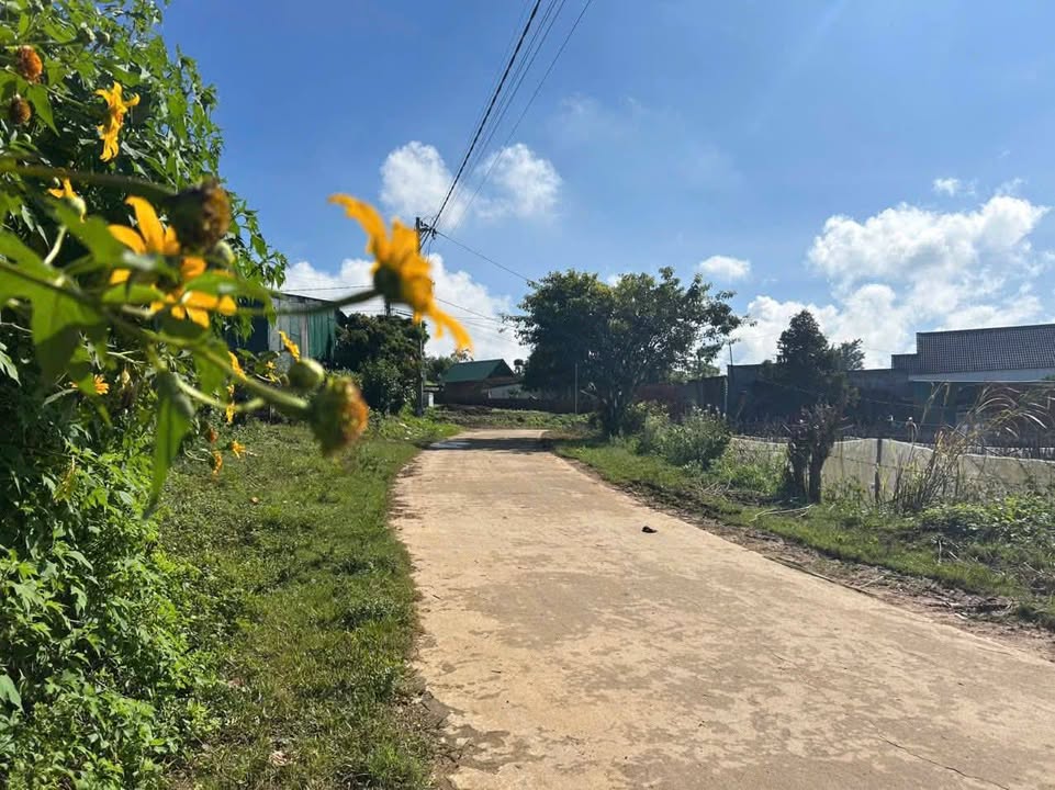 Đất nền Quảng Lập Đơn Dương 280m² giá chỉ 560 triệu - Cơ hội đầu tư lý tưởng!