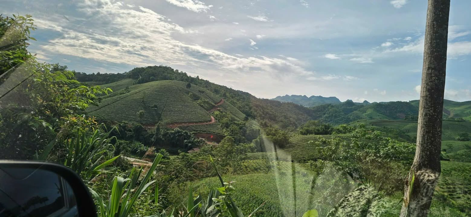 Đất nền Chiềng Khoa Vân Hồ 39.135,7m² - View núi suối tuyệt đẹp, giá thỏa thuận!