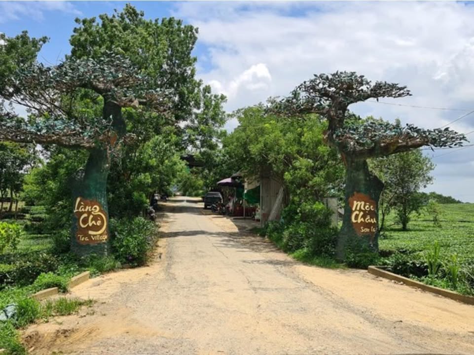 Lô đất 1033m² hai mặt tiền trung tâm Mộc Châu - Cơ hội đầu tư hấp dẫn!