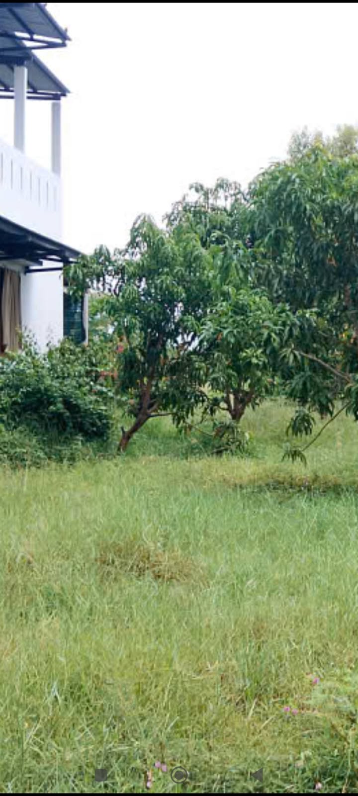 Lô đất Ninh Thọ, Ninh Hòa 455m² giá 1.35 tỷ - Đầu tư sinh lời ngay!