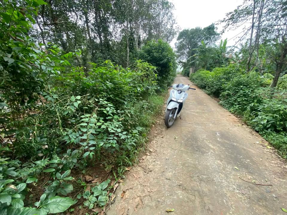 Đất nền Hồ Xá Vĩnh Linh 140m² giá chỉ 300 triệu - Cơ hội đầu tư hiếm có!