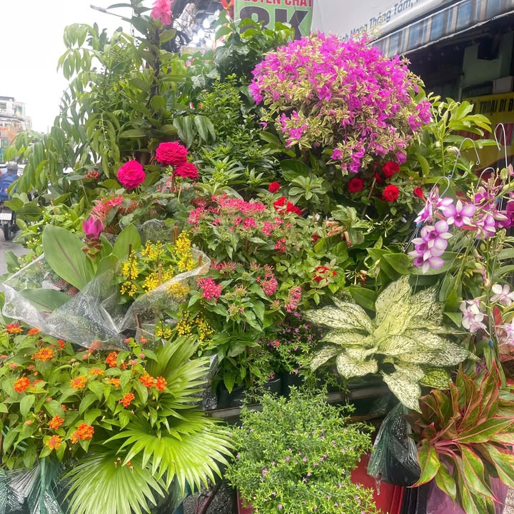 Lô đất 372m² Lý Thái Tông, Thanh Khê - Giá 21 tỷ, cơ hội đầu tư hiếm có!