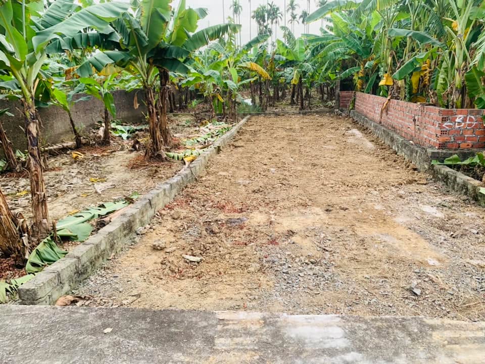 Đất nền Quảng Thanh, Thủy Nguyên 73m² giá chỉ 495 triệu - Cơ hội tốt không thể bỏ lỡ!