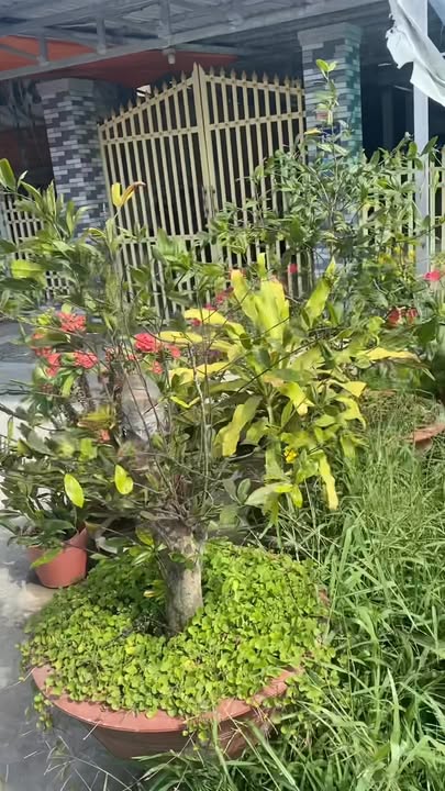 Đất nền mặt tiền QL54 Vĩnh Long 145m² giá 1.05 tỷ - Đầu tư sinh lời ngay!