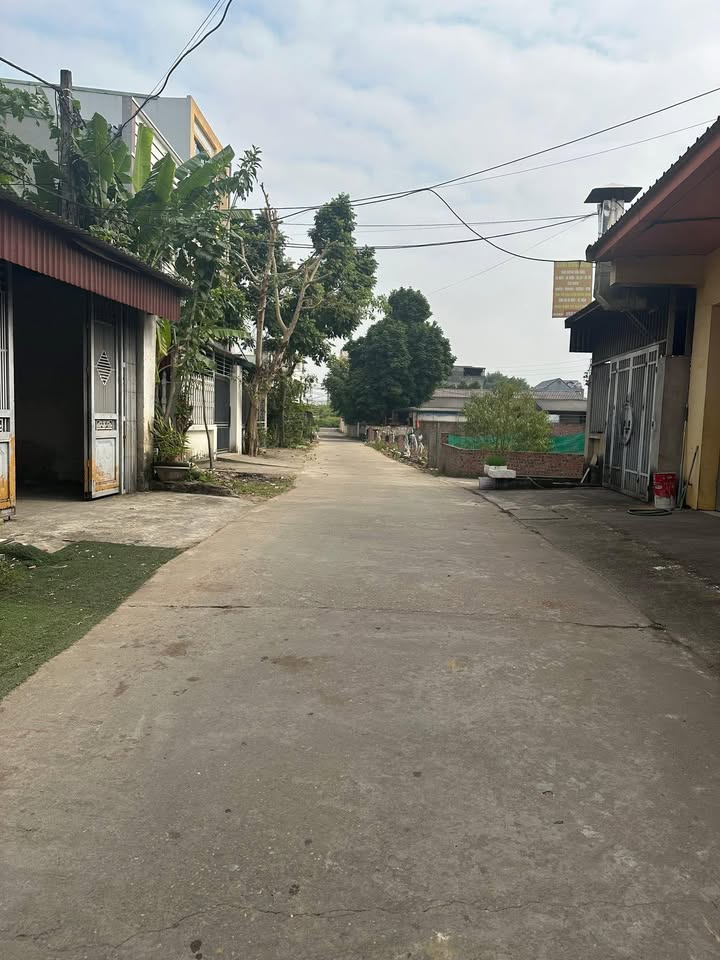 Đất nền Minh Phương, Việt Trì 80m² giá 2 tỷ - Vị trí đẹp, tiềm năng phát triển!