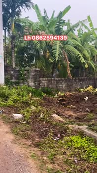 Đất nền thôn Mỹ Ân, Văn Tố, Tứ Kỳ 155m² giá 1.6 tỷ - Sổ đỏ chính chủ, pháp lý rõ ràng!