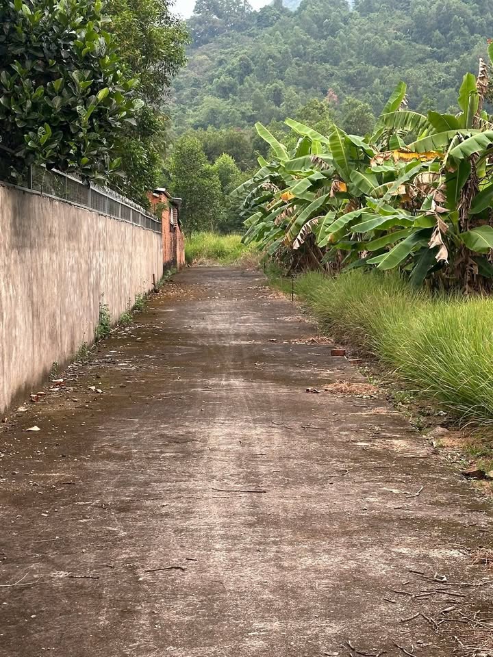 Đất thổ cư chính chủ xã Xuân Lộc, 180m² giá chỉ 1 tỷ - Mặt tiền thuận lợi!