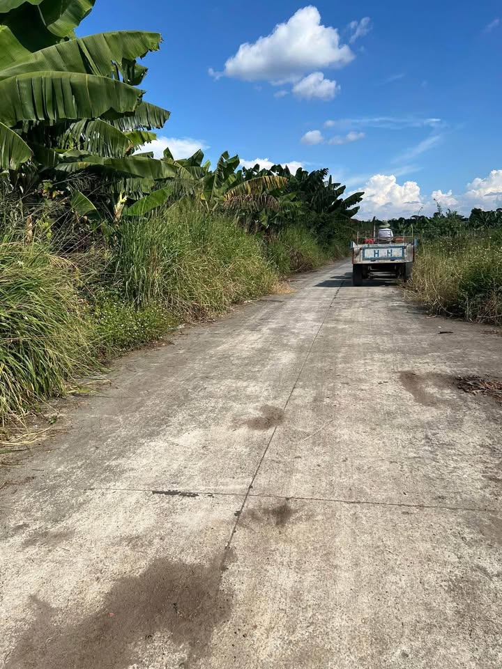 Bán Farm 6 Sào tại Thống Nhất, Đồng Nai - Giá 2.7 tỷ, Sổ đỏ chính chủ!