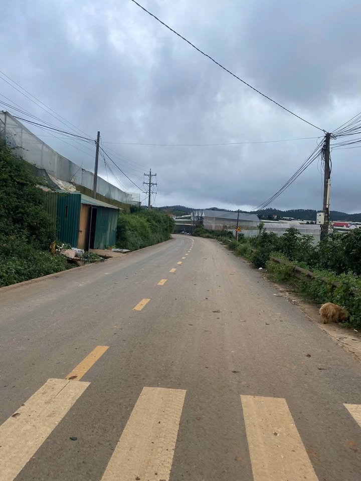 Đất nền đường Văn Tiến Dũng, phường Langbiang, 1313m² - Giá chỉ 420 triệu