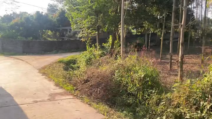 Đất nền xã Đồng Vương, Yên Thế, Bắc Giang 302m² - Hướng Đông, giá thỏa thuận!