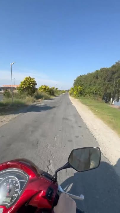 Đất thổ cư 366m² xã Long Thạnh, huyện Thủ Thừa - Mặt tiền đường nhựa, giá chỉ 1.85 tỷ!