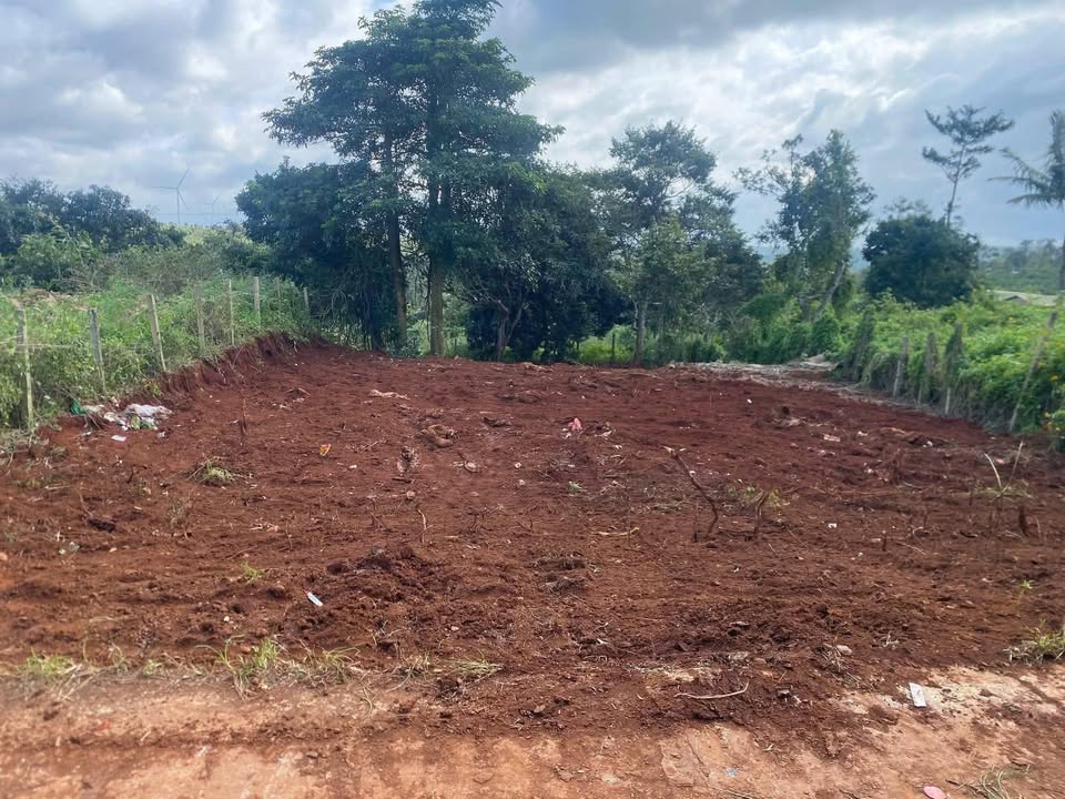 Đất nền 525m² tại Cư Né, Krông Búk - Giá 5.775 tỷ - Kinh doanh thuận lợi!