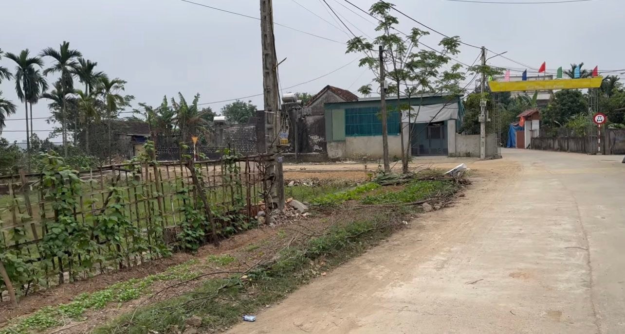 Đất đấu giá Diễn Nguyên 174.6m² giá 1.1 tỷ - Cơ hội đầu tư tiềm năng!