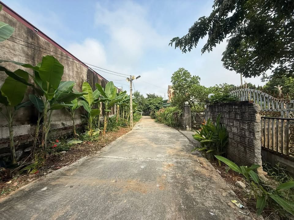 Lô đất 150m² tại xóm 17, xã Trung Môn, Tuyên Quang - Đầu tư tiềm năng!