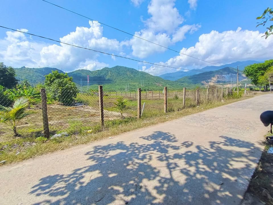 Đất thổ cư Ninh Lộc Ninh Hòa 203m² giá 429 triệu - Bán gấp chính chủ!