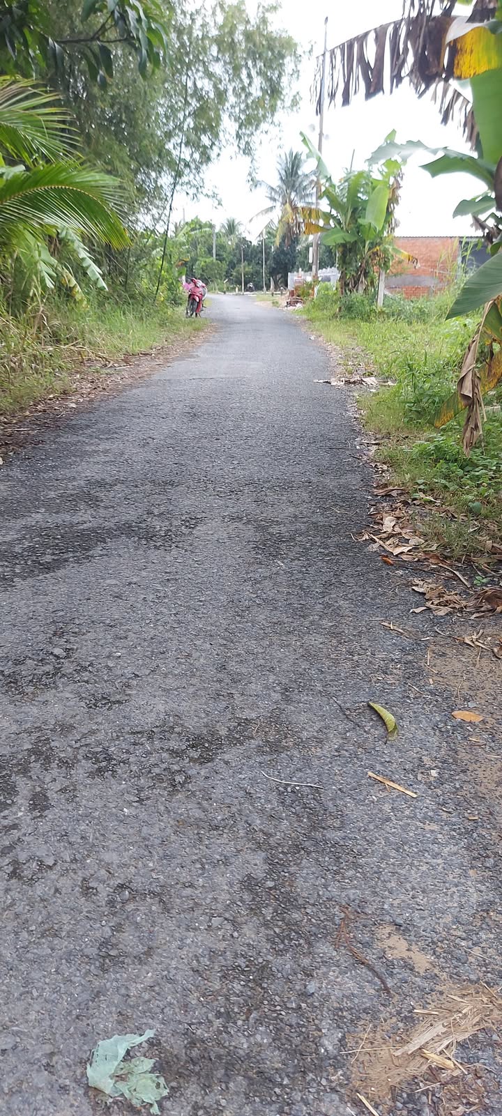 Đất nền nghỉ dưỡng phường Mỹ Trà, 5050m² chỉ 2.95 tỷ - Cơ hội hiếm có!