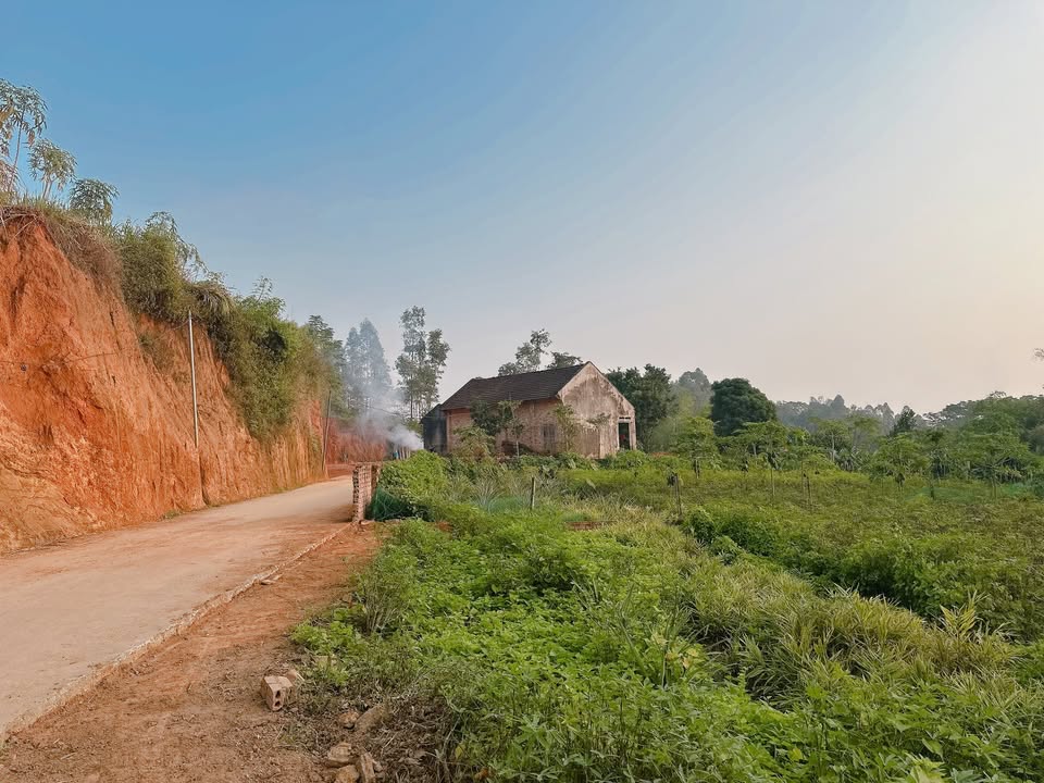 Đất nền khu 1 Thanh Đình, Việt Trì 100m² giá chỉ 690 triệu - Cơ hội đầu tư hấp dẫn!