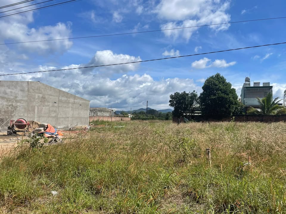 Đất liền kề Đăk Hring 255m² giá chỉ 300 triệu - Đầu tư sinh lời cao!