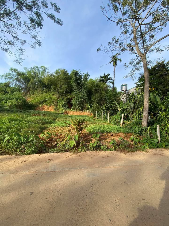 Đất thổ cư Tân Hà Tuyên Quang 200m² giá 1 tỷ - Thích hợp xây nhà ở ngay!