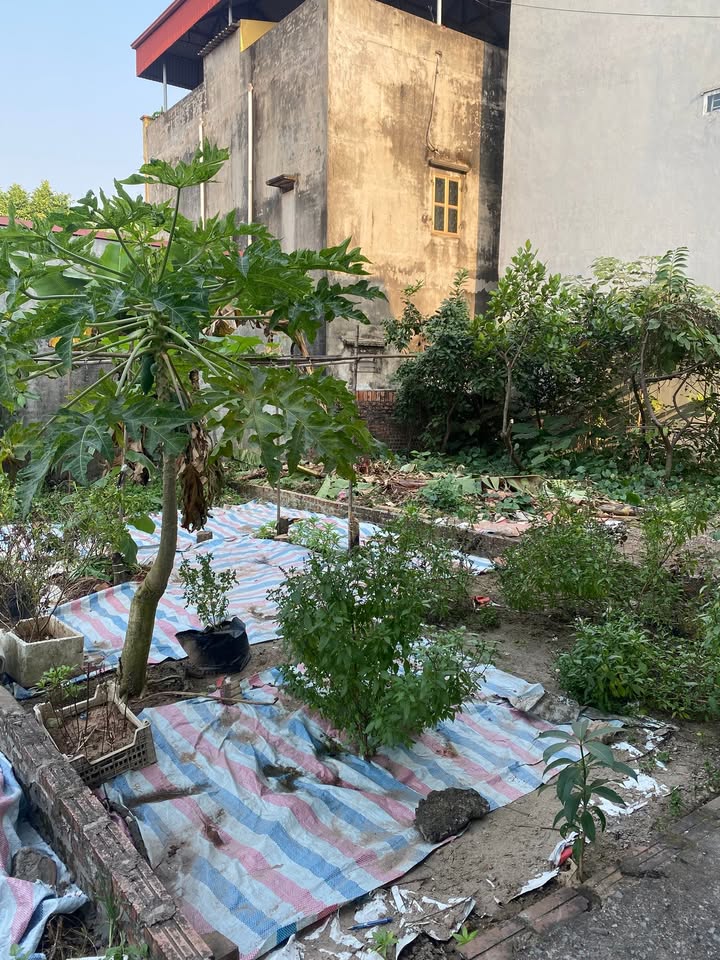 Đất Phúc Lợi 40m² giá 5 tỷ - Mặt tiền 4.2m, vị trí đắc địa!