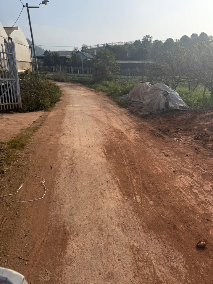 Đất nền An Thái Mộc Châu 215m² giá 300 triệu - Đầu tư sinh lời ngay!