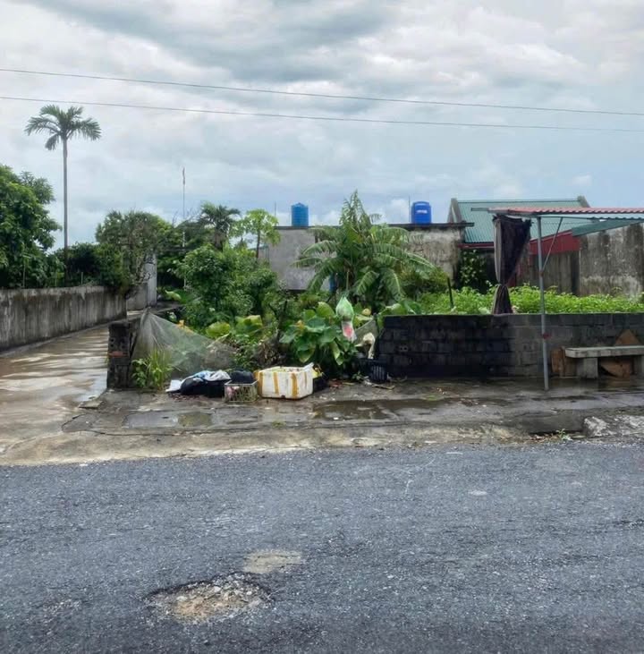 Đất nền xã Nam Thịnh, huyện Tiền Hải 130m² giá 1 tỷ - Đầu tư sinh lời nhanh!