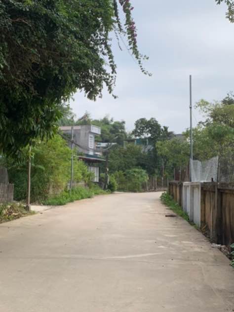 Đất nền Kim Phú Tuyên Quang 130m² giá 800 triệu - Ngõ ô tô vào thoải mái!