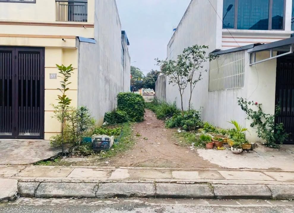 Đất TDC Quan Triều Thái Nguyên 100m² giá 2.5 tỷ - Đầu tư sinh lời ngay!