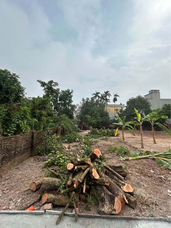 Đất thổ cư Vân Kênh, Châu Giang 104m² giá thỏa thuận - Ngõ ô tô rộng rãi!