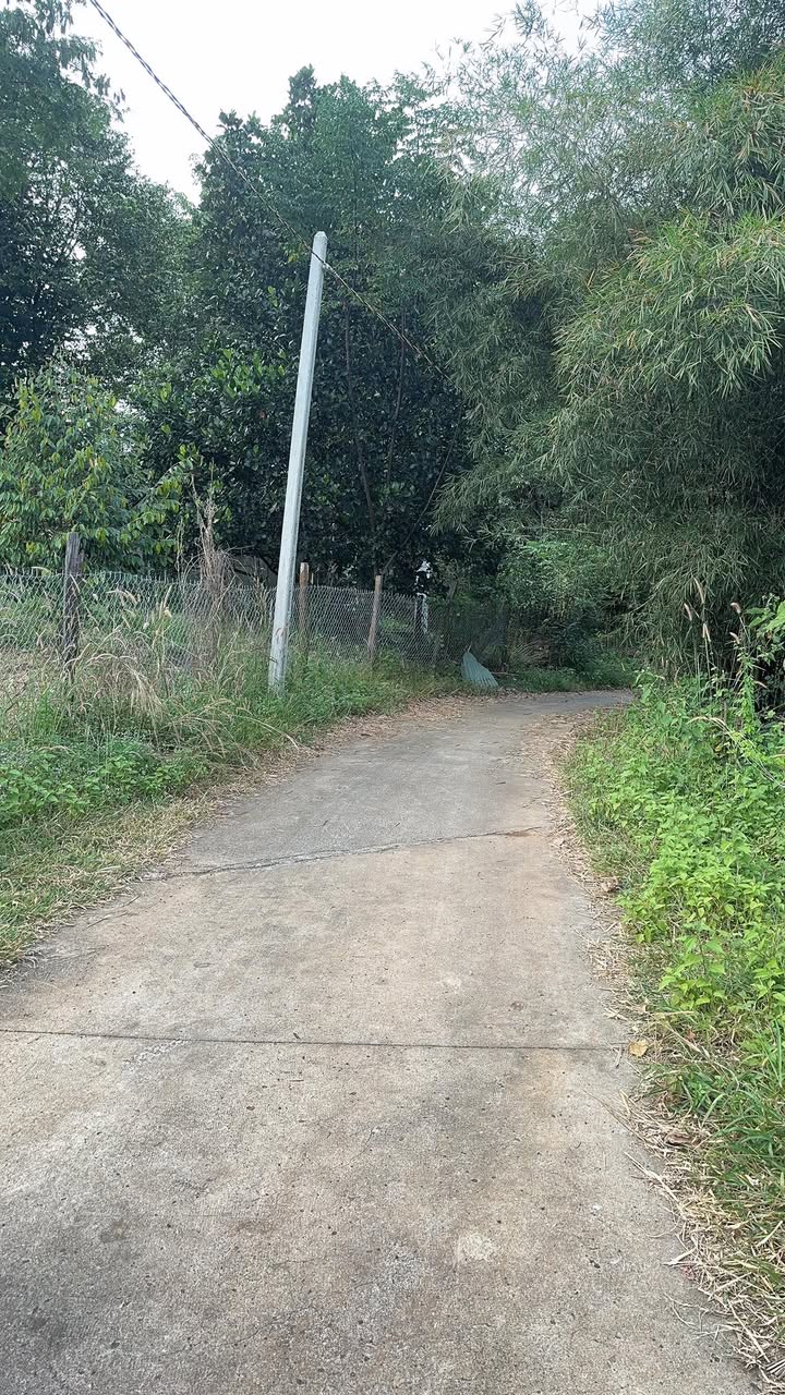 Đất Lộc Hiệp 10800m² giá chỉ 600 triệu - Cơ hội sở hữu ngay!