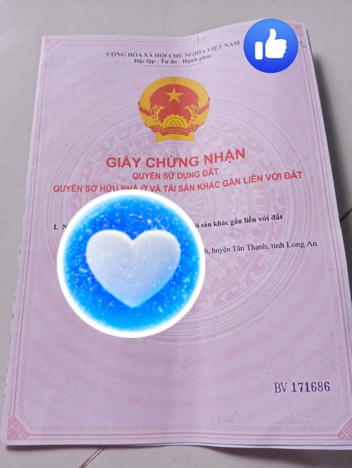 Nhà bán tại Tân Thạnh, Long An - 100m² giá 1,3 tỷ - Thu nhập ổn định từ cho thuê!