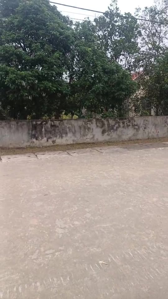 Đất nền Quỳnh Thiện Hoàng Mai 140m² giá 1.2 tỷ - Lô góc 2 mặt đường rộng rãi!