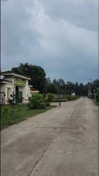 Đất biển Thôn Minh Tân Nam, Mộ Đức 264m² giá 800 triệu - Cách biển chỉ 80m!