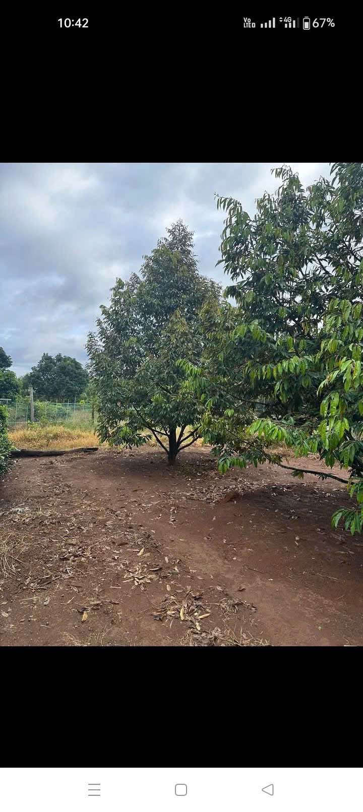 Đất nền Trần Nhân Tông, Khánh Xuân 900m² - Thổ cư 130m², giá thương lượng!