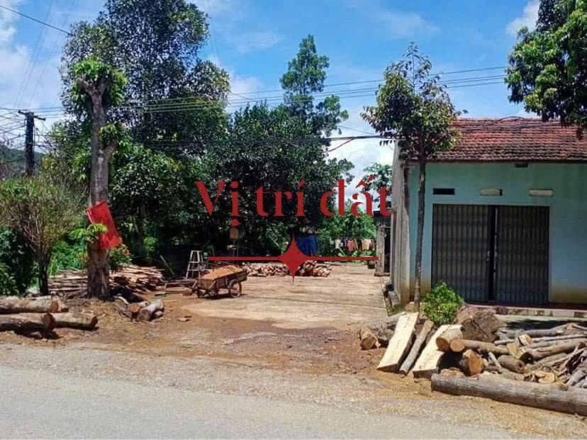 Đất nền kinh doanh tại Thôn Yên Cư, Cẩm Tâm, 180m² giá 600 triệu - Cơ hội đầu tư hấp dẫn!