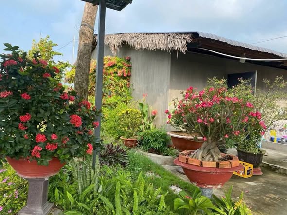 Đất nông nghiệp 10.500m² tại Khánh Hậu, Tân An - Giá 11 tỷ VND, cơ hội đầu tư hấp dẫn!