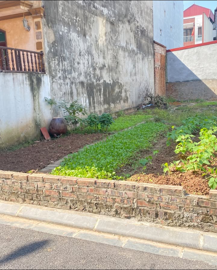 Đất Ngọc Chi Đông Anh 68m² giá 9 tỷ - Đầu tư sinh lời tuyệt vời!