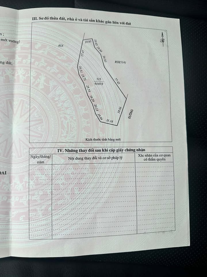 Đất rừng 1ha tại Giang Sơn Đông, Đô Lương giá chỉ 300 triệu - Đầu tư sinh lời ngay!