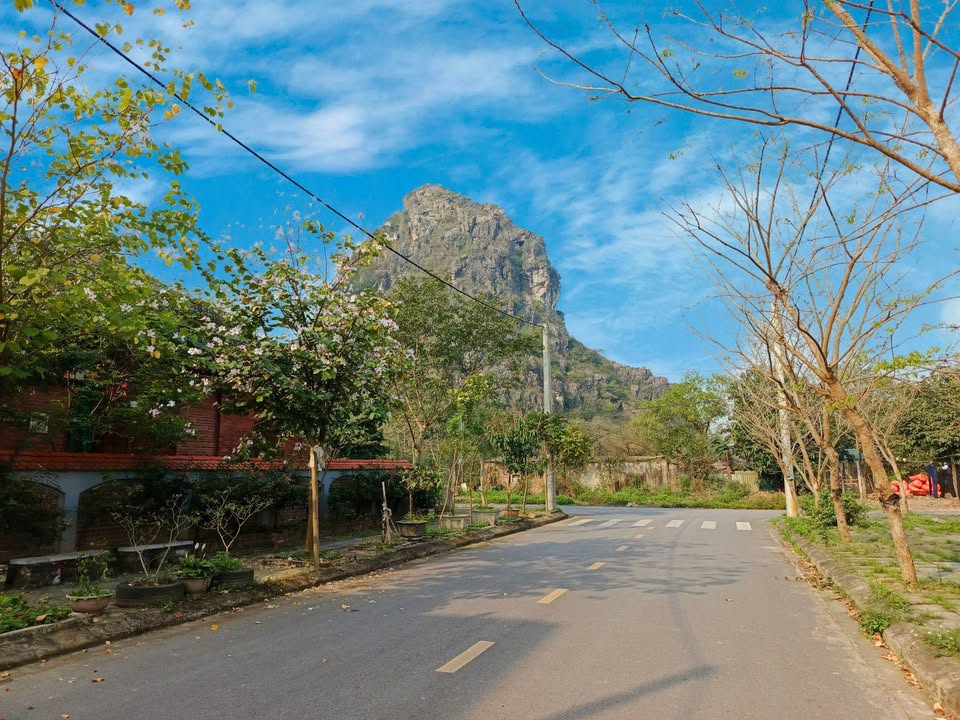 Đất nền Ninh Mỹ, Hoa Lư 85m² giá chỉ 4xx triệu - Đầu tư sinh lời ngay!