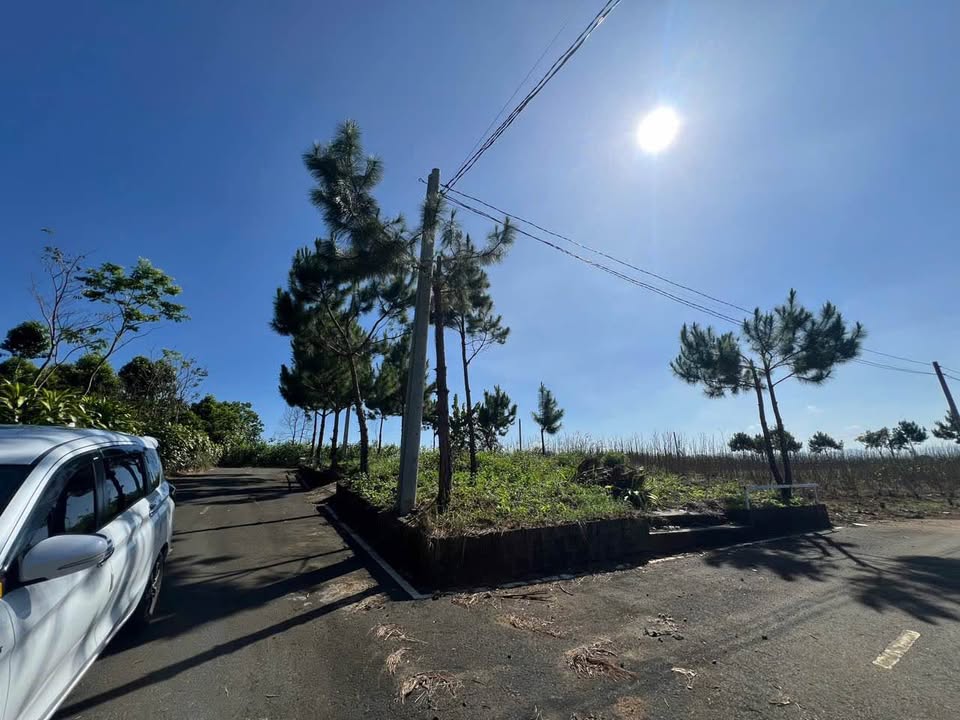 Đất thổ cư Lộc An, Bảo Lâm 178m² giá 1.1 tỷ - Cơ hội đầu tư hấp dẫn!