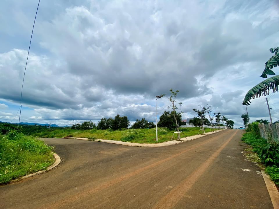 Đất nền Đinh Trang Hòa, Di Linh 157,6m² giá chỉ 2 tỷ - Cơ hội đầu tư tuyệt vời!