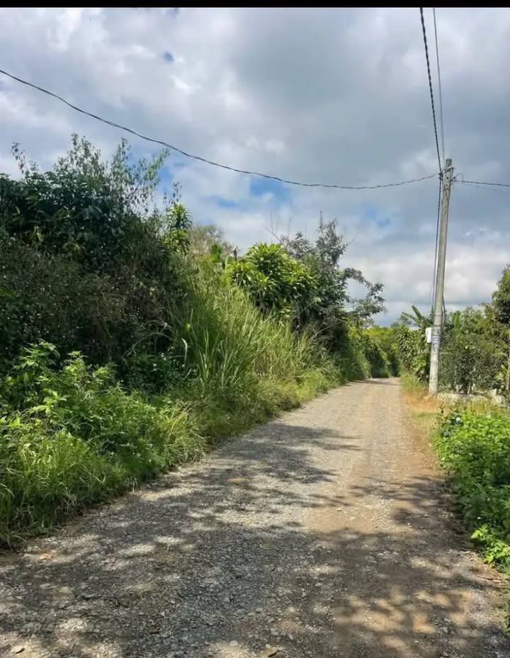 Đất nền Tân Lạc Bảo Lâm 1800m² giá 3 tỷ - Sổ đỏ chính chủ, cơ hội đầu tư tuyệt vời!